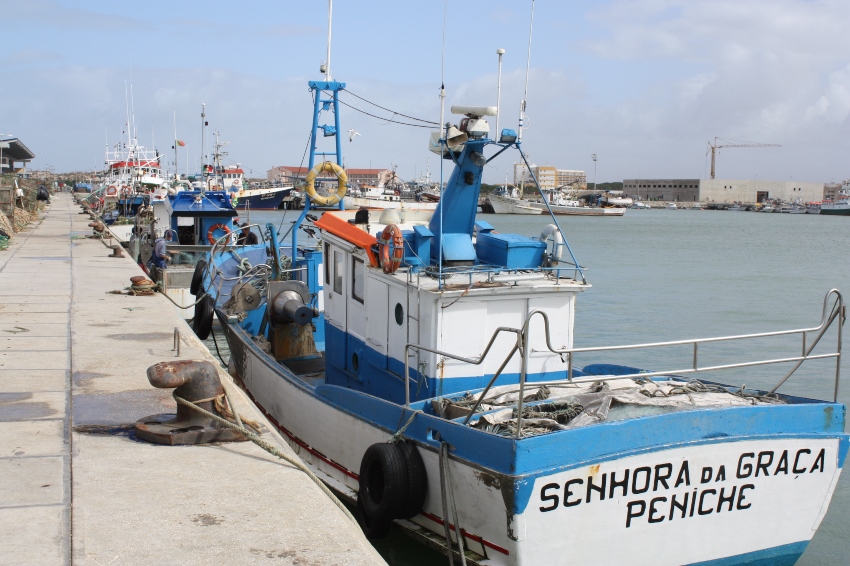 Barcos porto pesca 4