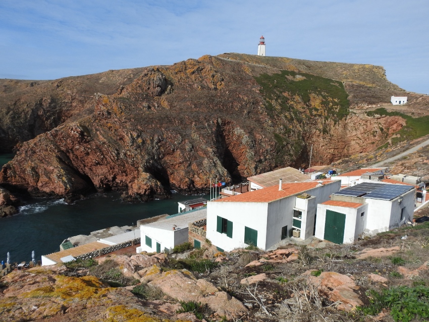 Berlenga EDP