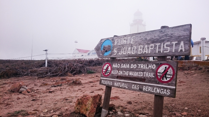 Berlengas C