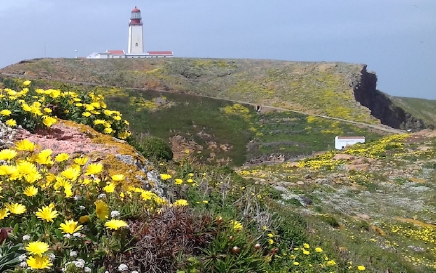 Berlengas Isabel Fagundes