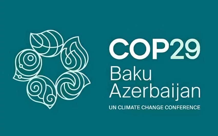 COP29