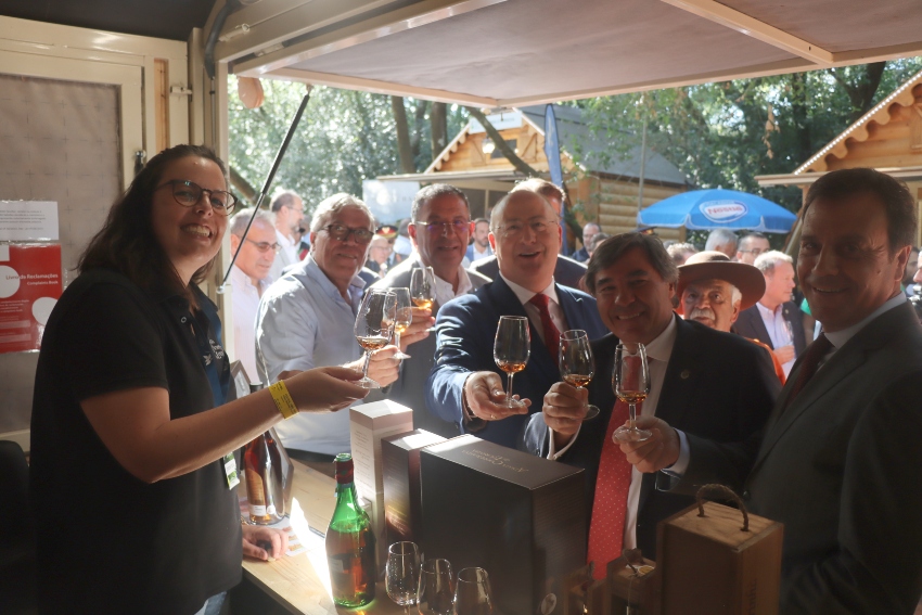 adega lourinha festival vinho 1