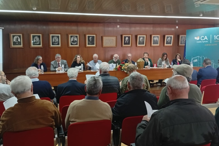 assembleia geral caixa lourinha 2025