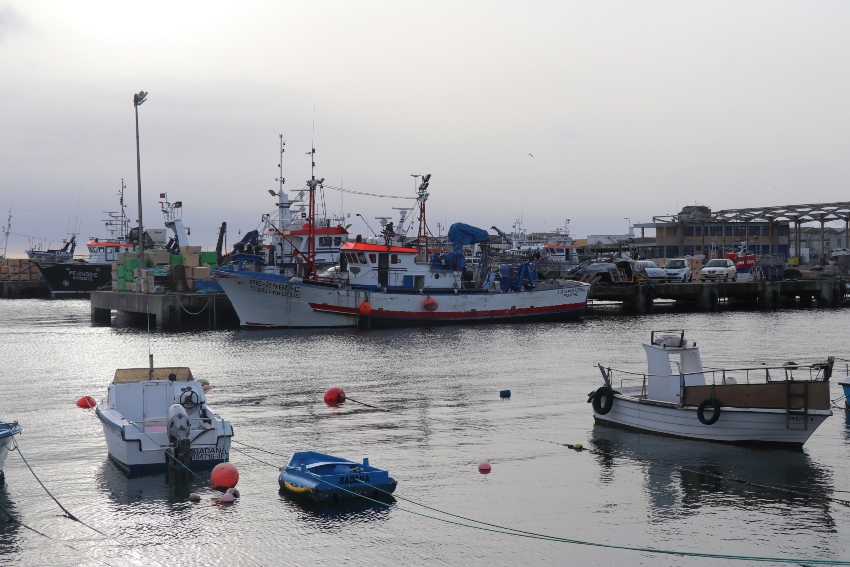 barcos de pesca