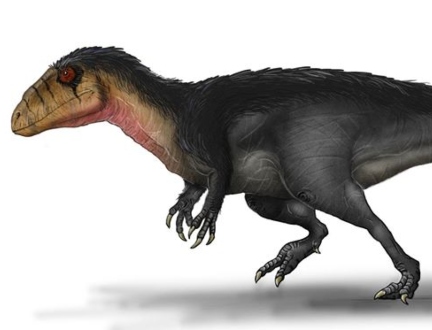 Descoberto novo dinossauro parecido com T-Rex; nome homenageia