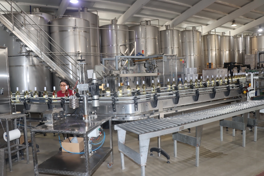 engarrafamento vinho adega vermelha 2025