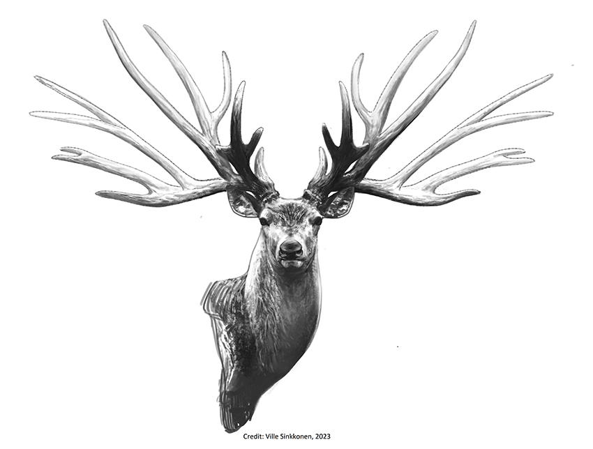 eucladoceros copy cred