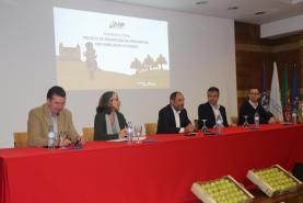 Pêra rocha do Oeste poderá começar em breve a ser exportada para a China