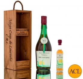 Adega Cooperativa da Lourinhã lança novos produtos inspirados nos dinossauros