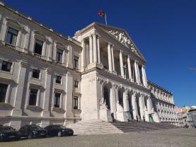 Federações defendem na Assembleia da República lei adequada à realidade distinta do desporto profissional e amador