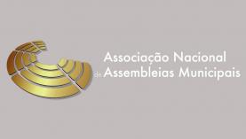 Assembleias municipais não querem ter direito de veto nas novas freguesias