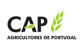 Mau tempo: CAP diz que houve danos em culturas no Oeste e Alentejo e precisam de ser contabilizados