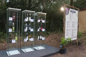 Vinhos do Bombarral e Cadaval foram os mais distinguidos no concurso do Festival do Vinho Português