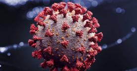 Covid-19: Novos casos quase quatro vezes mais do que no desconfinamento de 2020