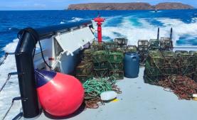 GNR apreendeu armadilhas de pesca ilegais em operação de fiscalização na Reserva Natural das Berlengas