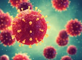 Actividade epidémica da gripe mantém tendência decrescente em Portugal revela INSA