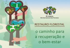 ICNF oferece árvores aos cidadãos para assinalar Dia Internacional das Florestas