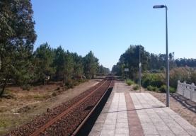 Estradas aumentaram 364% e ferrovias diminuíram 18% em Portugal em 23 anos revela estudo da Greenpeace