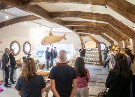 Fábrica de conservas ESIP inaugura loja com linha de produtos próprios ‘Peniche Can Surf’