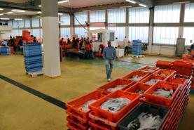 Pesca: Armadores portugueses temem parar durante 2021 por quotas insuficientes 