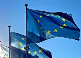Ambientalistas lamentam enfraquecimento da Lei do Restauro da Natureza no Parlamento Europeu