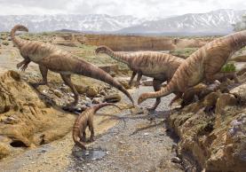 Dino Parque da Lourinhã recebe fósseis do mais antigo dinossauro da Europa com 200 milhões de anos