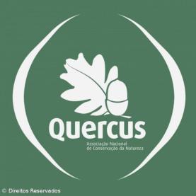 Quercus distingue região Oeste com 41 praias douradas, das quais 5 são do concelho da Lourinhã