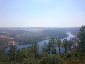 Oeste: Lançado concurso para estudar viabilidade de projecto de regadio para o rio Tejo