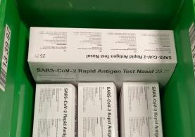 Covid-19: Governo quer testar trabalhadores em campanhas agrícolas pelo país