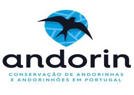 Lourinhã é primeiro município do país a impedir obras onde existirem andorinhas