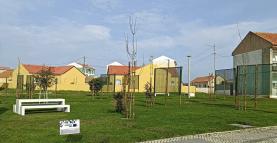 Concluída candidatura ‘Arborização de Espaços Verdes na cidade de Peniche’