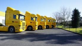 Empresas do Oeste integram lista das 1000 maiores do país publicada pelo ‘Expresso’