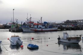 Projecto quer prevenir e mitigar o lixo marinho produzido pelo sector das pescas