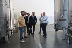Deputados do Chega visitaram Adega D'Arrocha em Santa Bárbara para conhecerem problemas da vitivinicultura