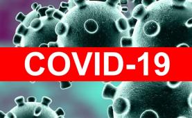 Covid-19: Portugal com 39.570 infecções, novo máximo em 24 horas