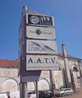 Governo concentra num diploma regime legal de produção de vinhos com DOP na Região de Lisboa