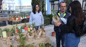 Dia Mundial da Árvore assinalado na Lourinhã com distribuição de loureiros e poesia