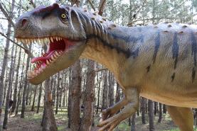 Dia da Criança será assinalado no Dino Parque Lourinhã com diversas actividades