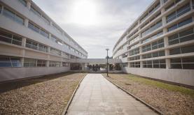Caldas da Rainha: alunos da Escola Superior de Artes e Design desenham a 'Asma'