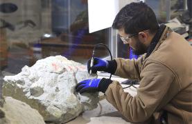Dino Parque apoia nova escavação paleontológica em parceria com o Museu da Lourinhã