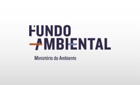 Fundo Ambiental apoia instalação de carregadores de carros eléctricos para IPSS