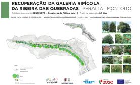 Lourinhã: início da recuperação da Galeria Ripícola da Ribeira das Quebradas 