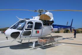 Incêndios: Região Oeste com 144 operacionais, 30 veículos e um meio aéreo na Lourinhã na fase Delta