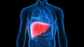 Sociedade Portuguesa apela a teste da hepatite C pelo menos uma vez na vida
