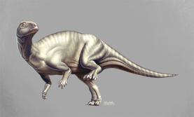 Exemplar de nova espécie de dinossauro pode ser admirado no Museu da Lourinhã