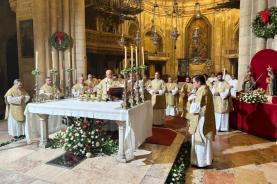 Patriarca de Lisboa defende que devem ser lançadas “sementes da paz” em todos os conflitos