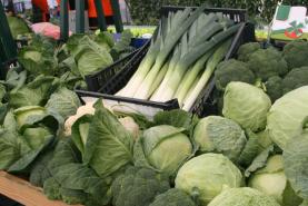 Portaria estabelece medidas excepcionais e temporárias para sector das frutas e hortícolas