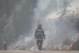 Incêndios: Área ardida este ano já ultrapassa os 100 mil hectares