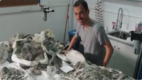 Estudante de doutoramento da Lourinhã pede apoio para completar estudo sobre dinossauros