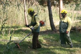 Incêndios: Governo prolonga até 31 de Maio limpeza de terrenos e sinaliza 988 freguesias